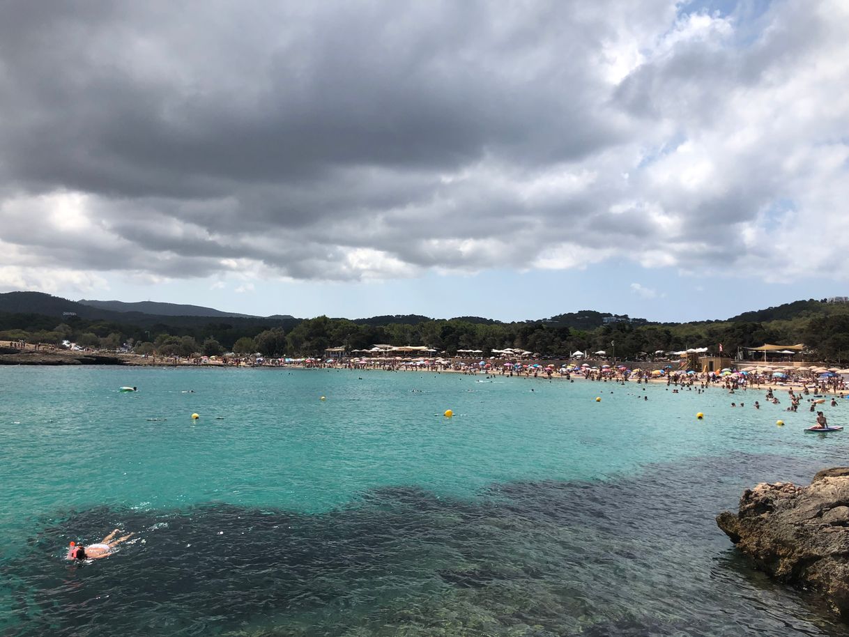 Restaurants Cala Bassa Beach Club (CBbC)
