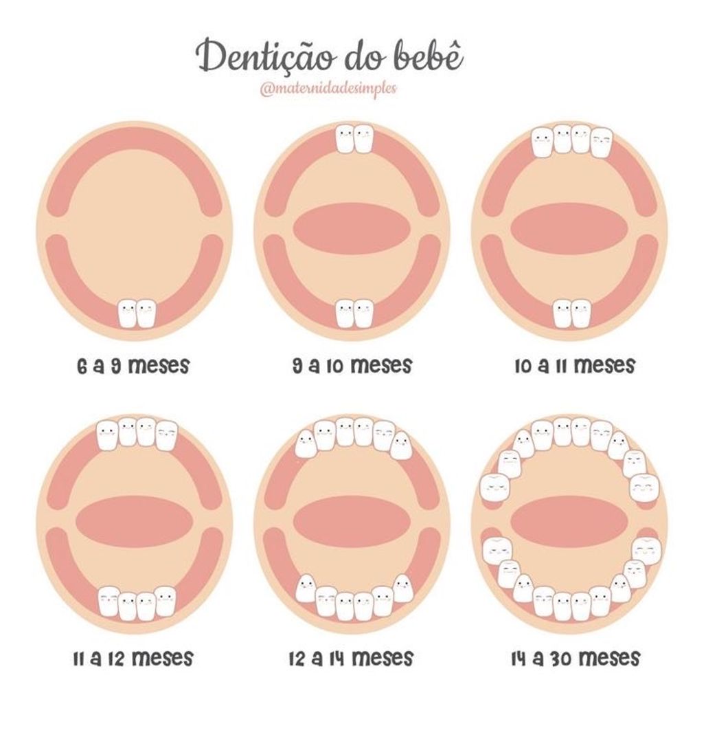 Moda Quando os dentes do bebê começam a nascer? 