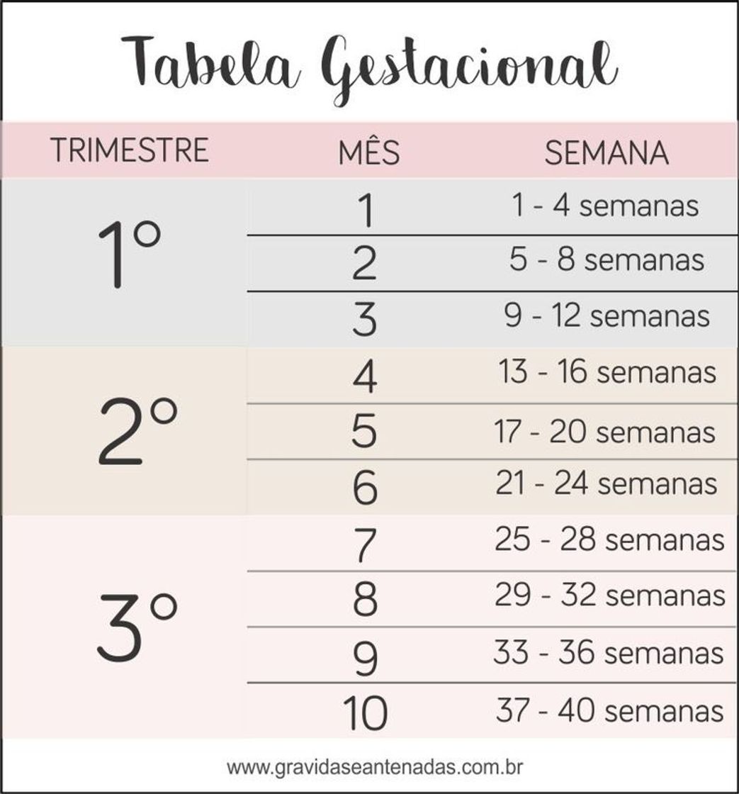 Moda Tabela gestacional 