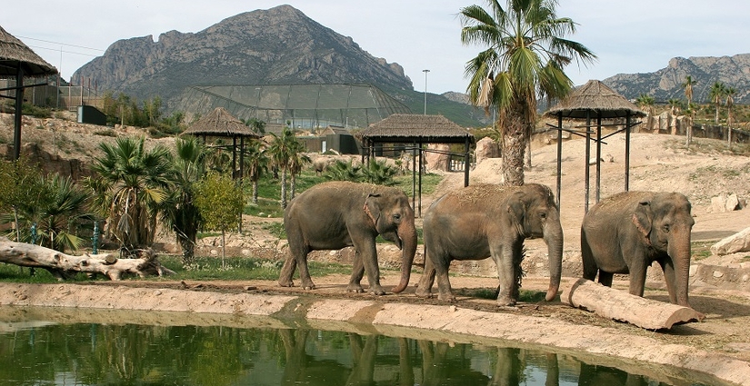 Lugar Terra Natura Benidorm