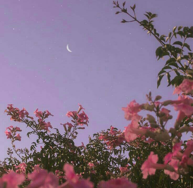 Music Good Good Father