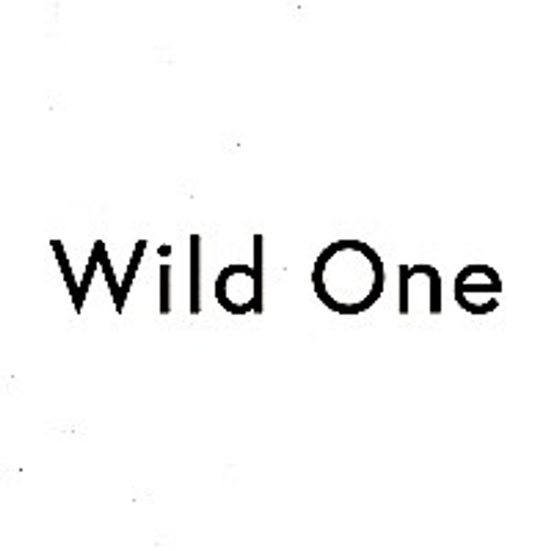 Fashion Wild One