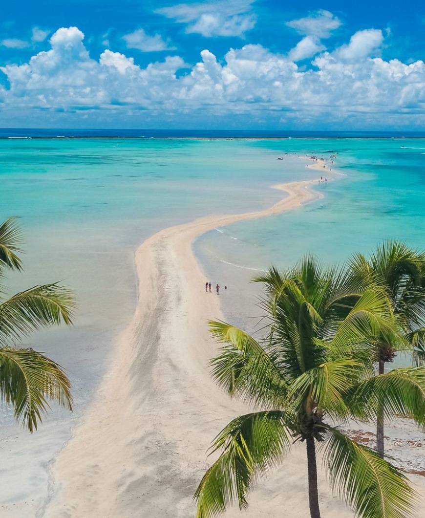 Place Caribe brasileiro🥂