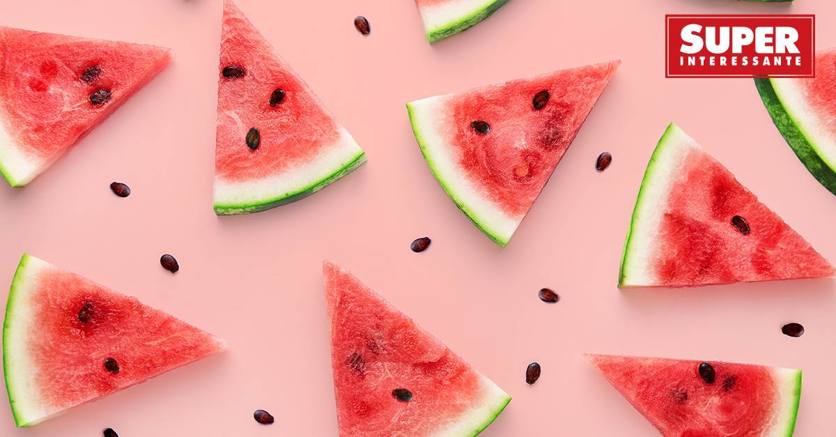 🍉🍉🍉🍊🍊