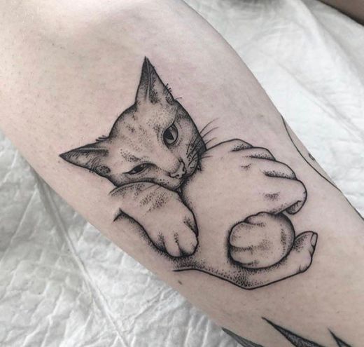 Tatto gato 🐱 