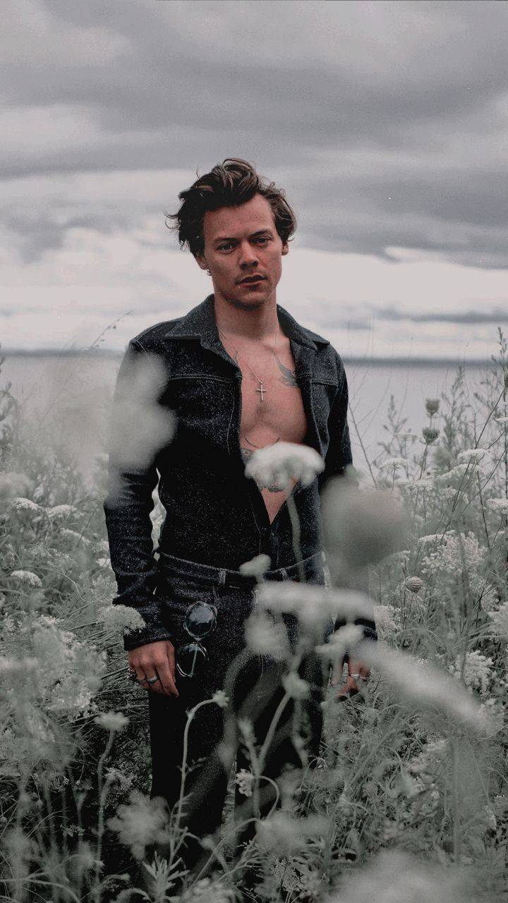 Moda harry styles wallpaper