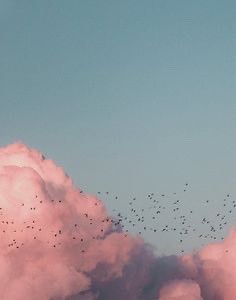 ᑎᑌᐯᗴᗰ☁️
