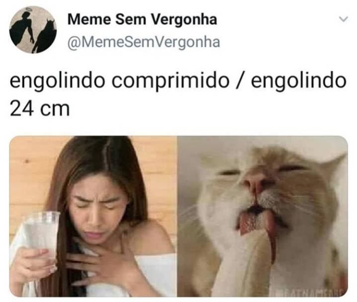 Social 😂