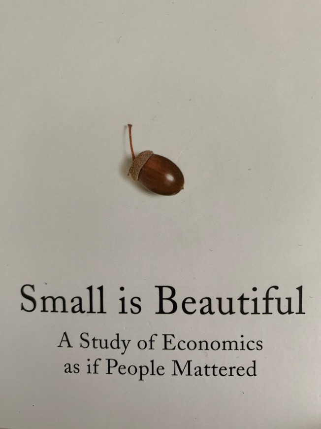 Book LO PEQUEÑO ES HERMOSO