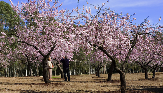 Place Parque de la Quinta de los Molinos