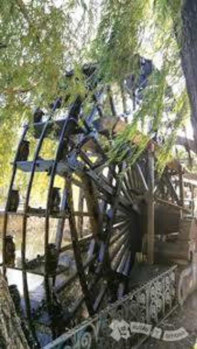 Place Roda do parque do Mouchao Tomar