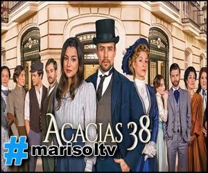 Serie Acacias 38