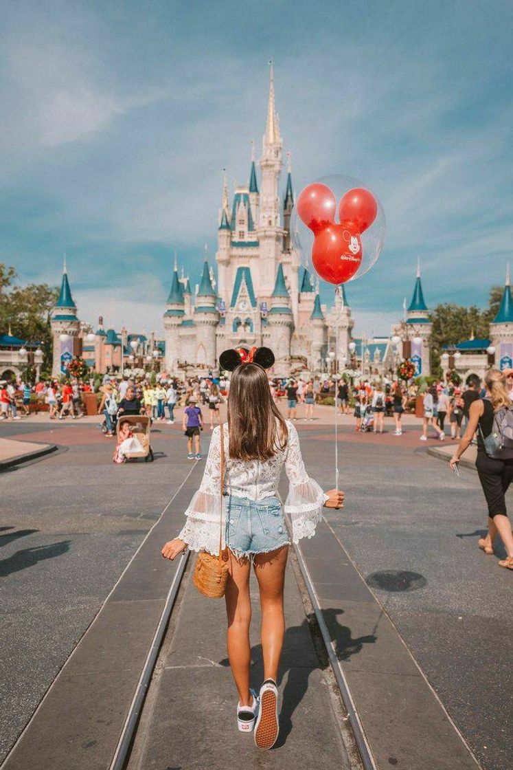 Place Disney🎡🎢