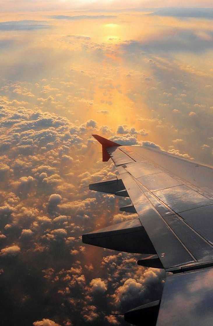 Place ✈🌻