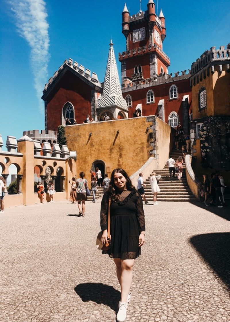 Lugar Palacio da Pena