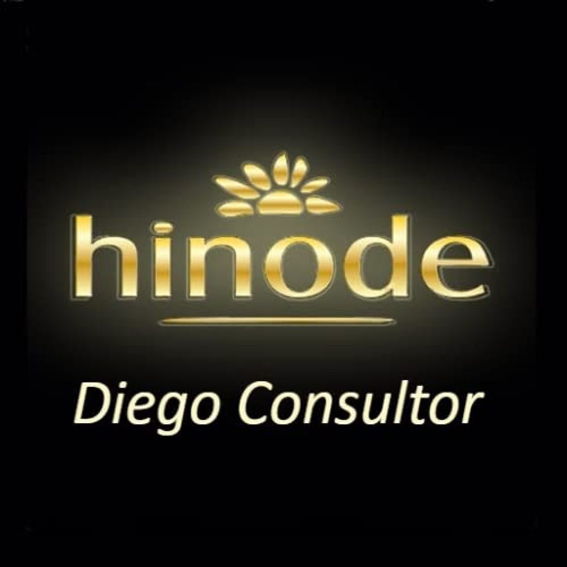 Product Diego Consultor Hinode