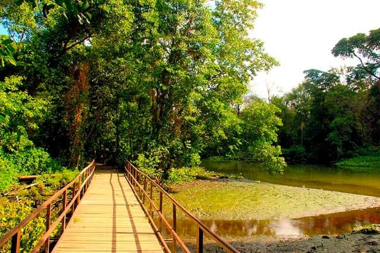 Place Parque Estadual do Rio Cocó