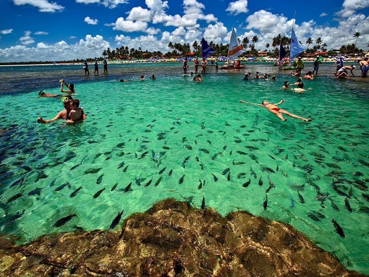 Lugar Porto de Galinhas