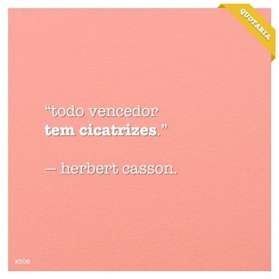 Fashion Frase