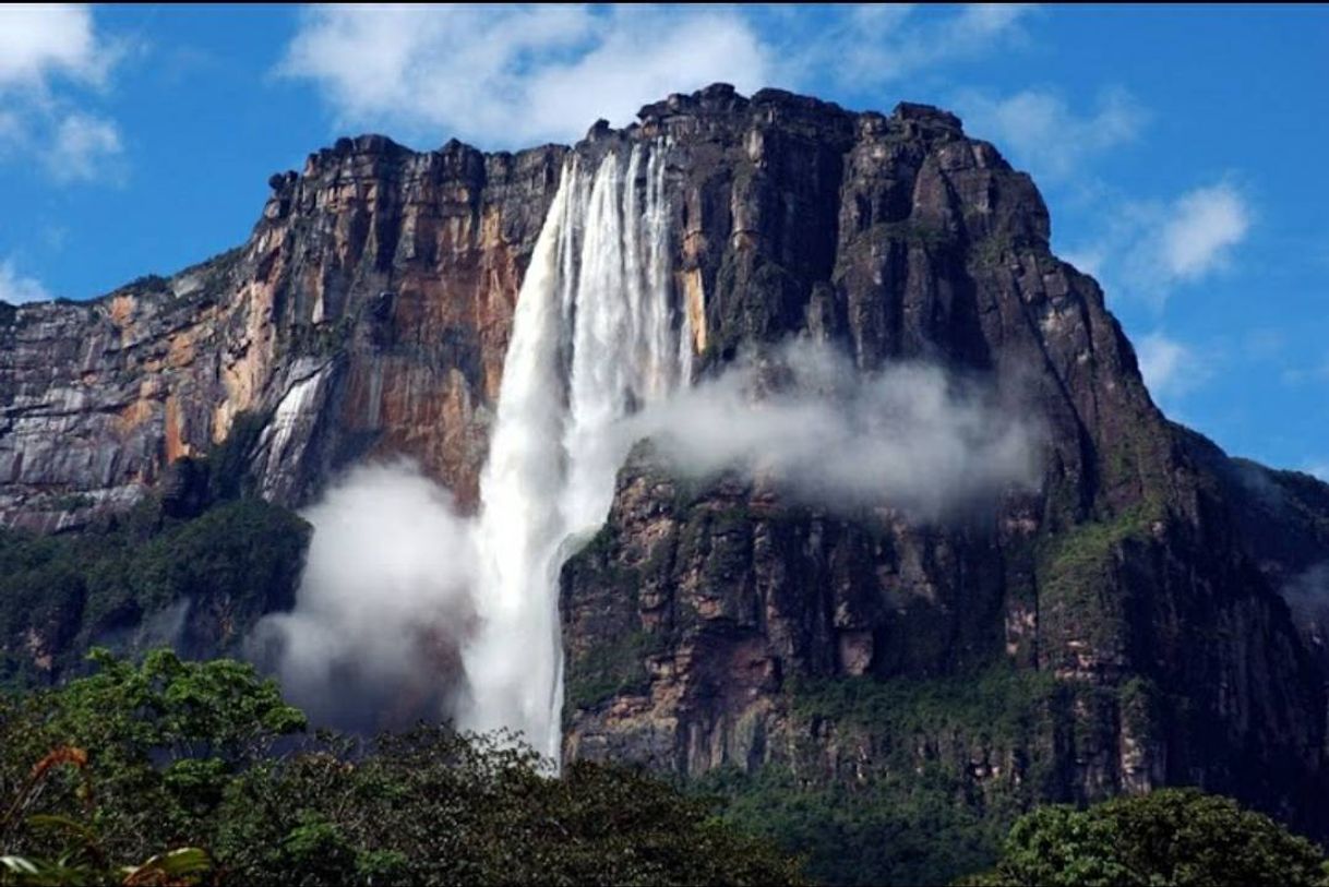 Lugar Parque Nacional Canaima