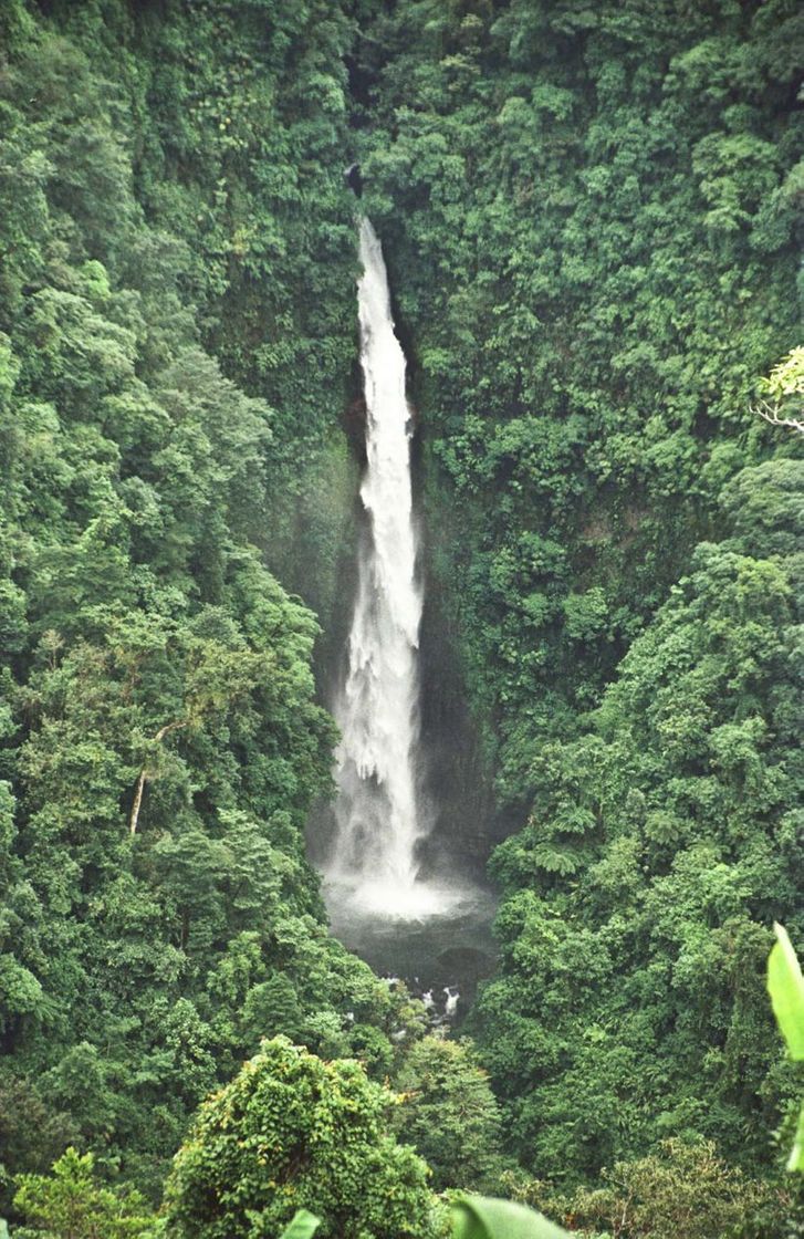 Place Parque Nacional Braulio Carrillo