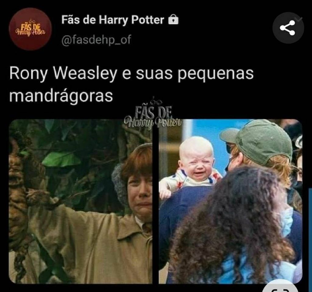 Moda Piadas de Harry Potter ⚡⚡