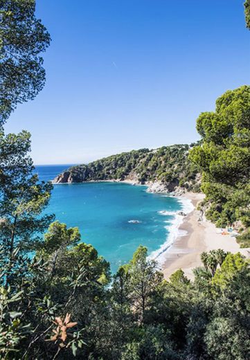 Cala Llevado | Camping Tossa del Mar | Camping en Costa Brava | Espagne