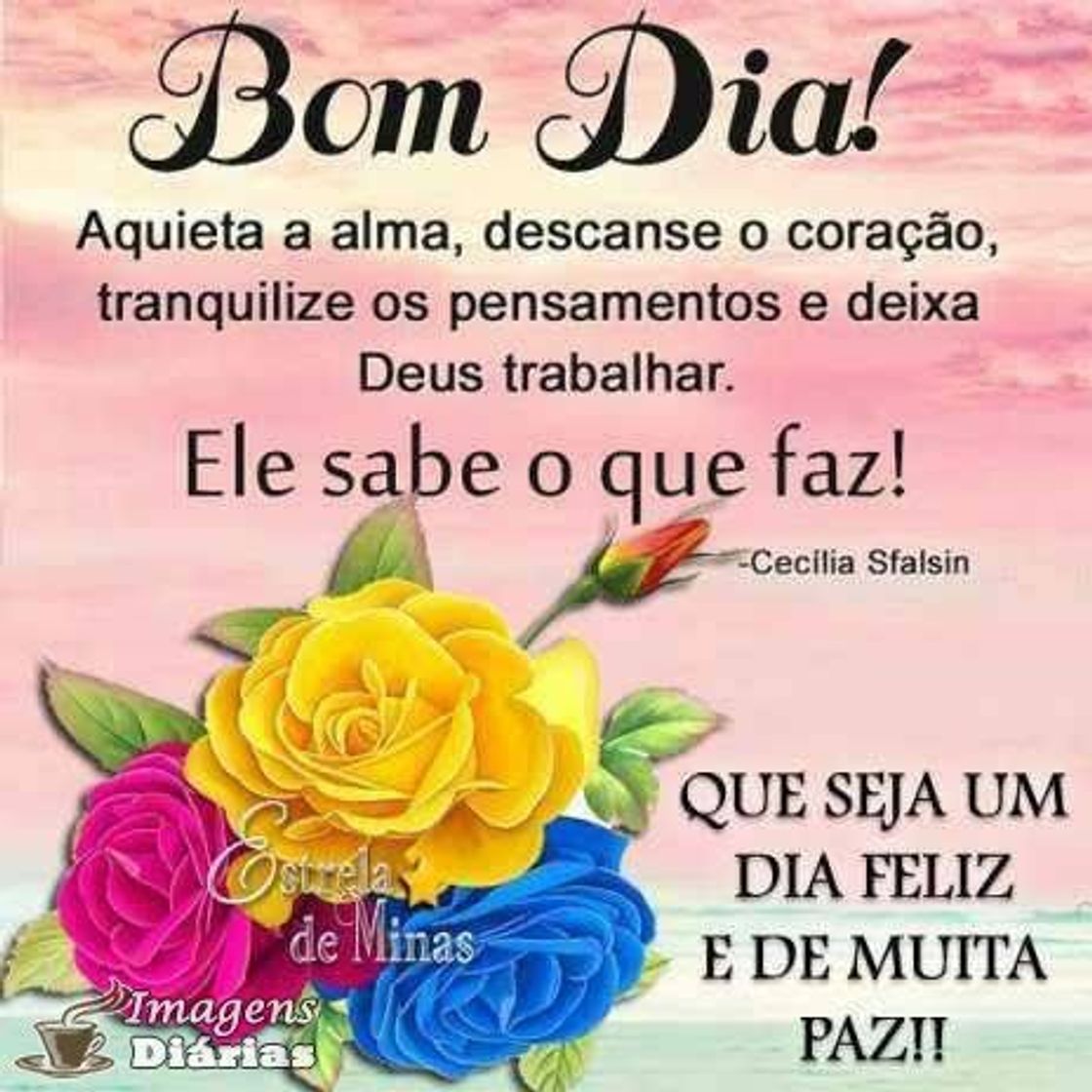 Social Bom dia