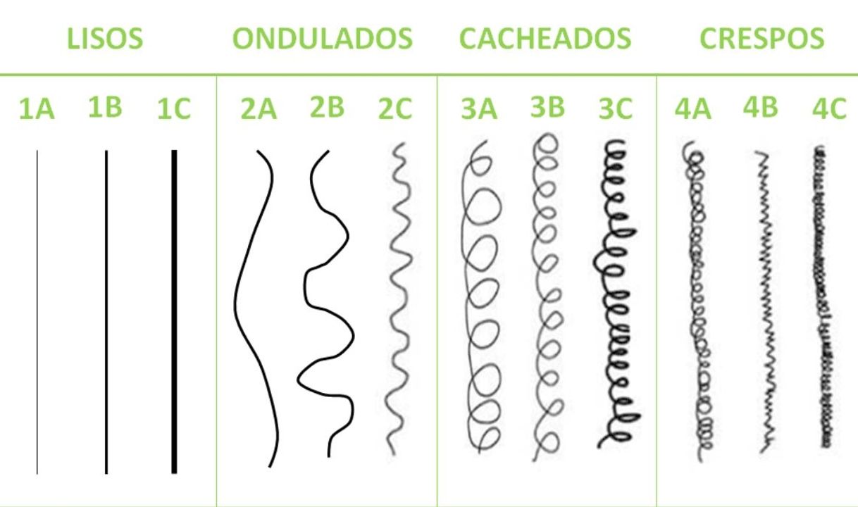 Fashion Qual o tipo de seu cacho, você sabe?