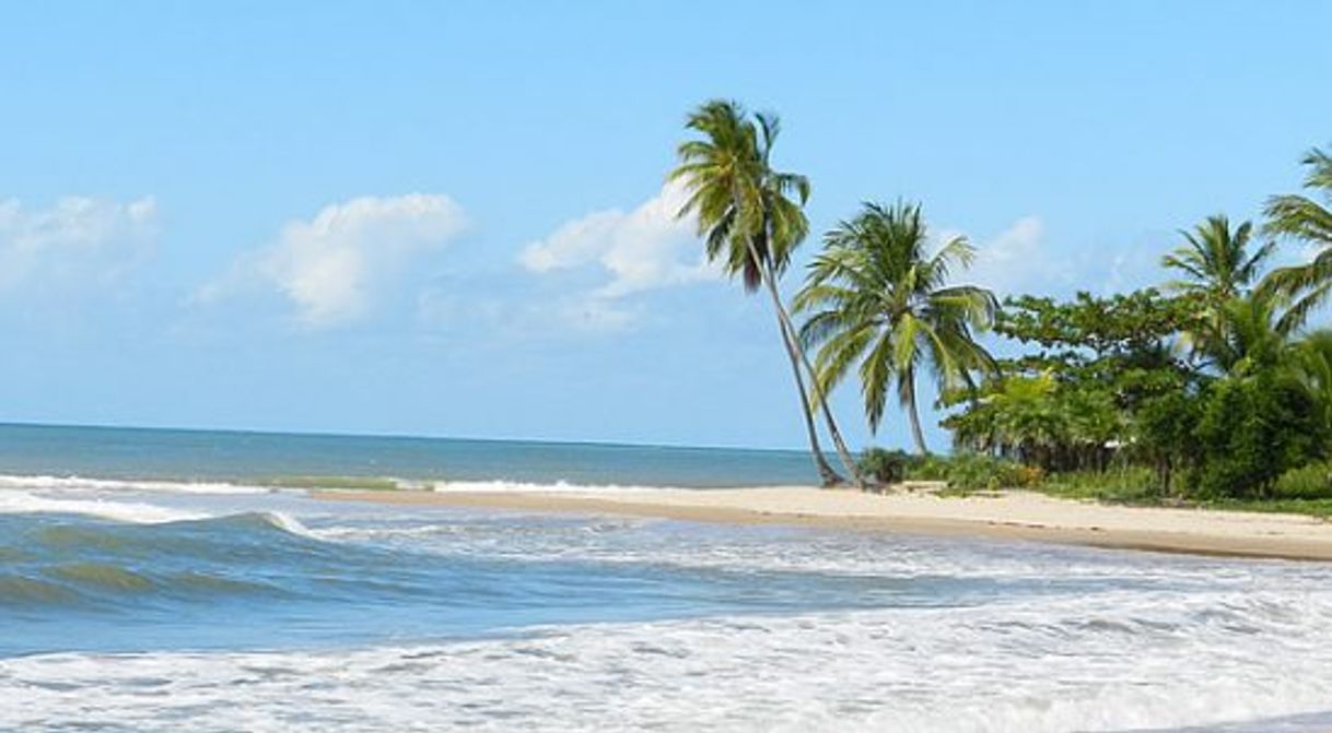 Fashion Barra Grande

