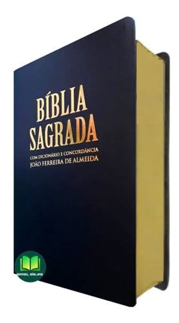 Moda Bíblia Sagrada