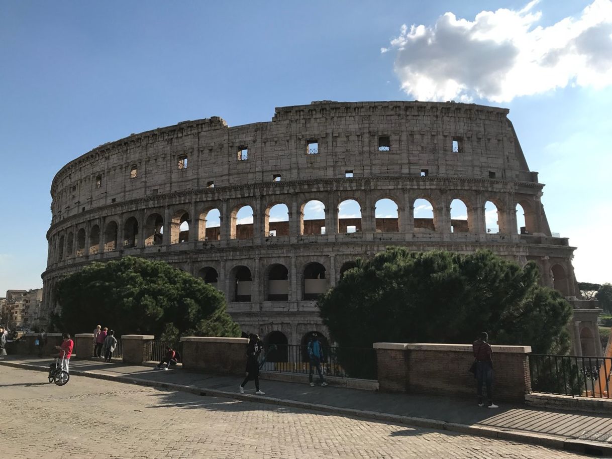 Place Coliseo de Roma