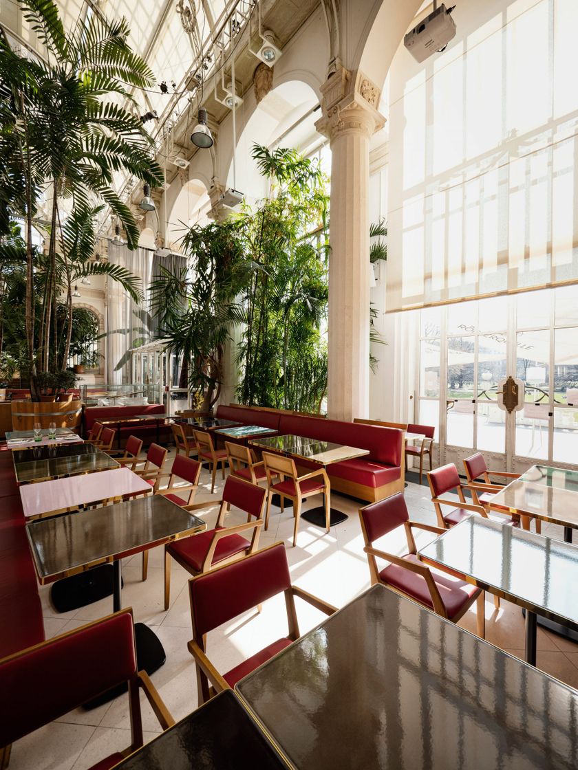 Place Palmenhaus