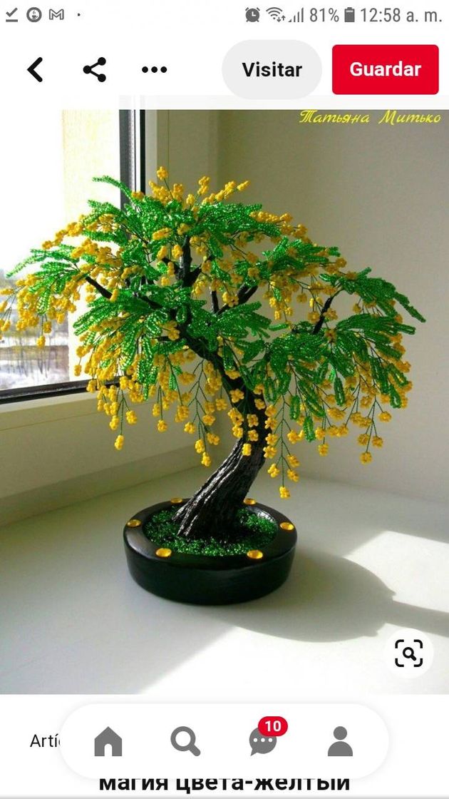 Social Bonsái muy lindo. 