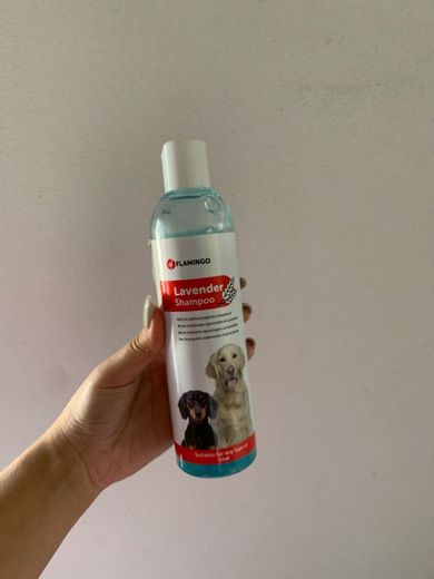 Shampoo Lavanda