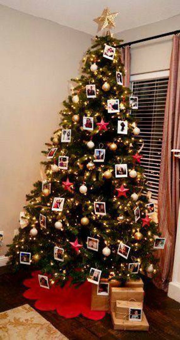 🎄✨