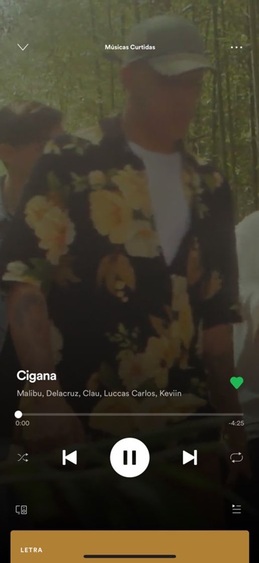 Music Malibu - Cigana 