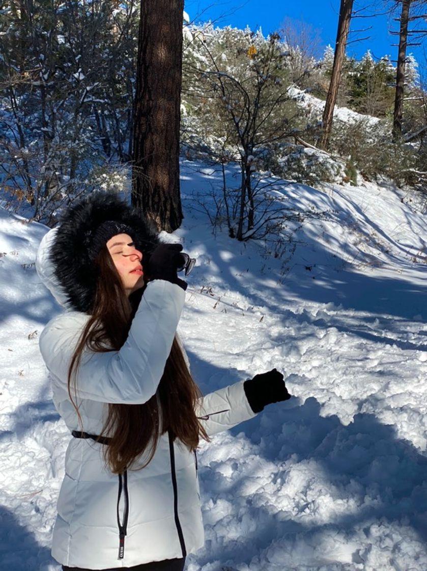 Fashion Big Bear Lake 