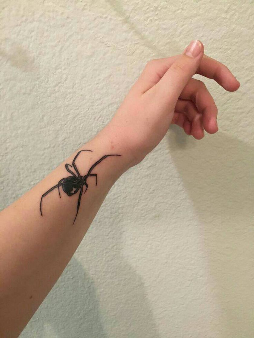 Social spider