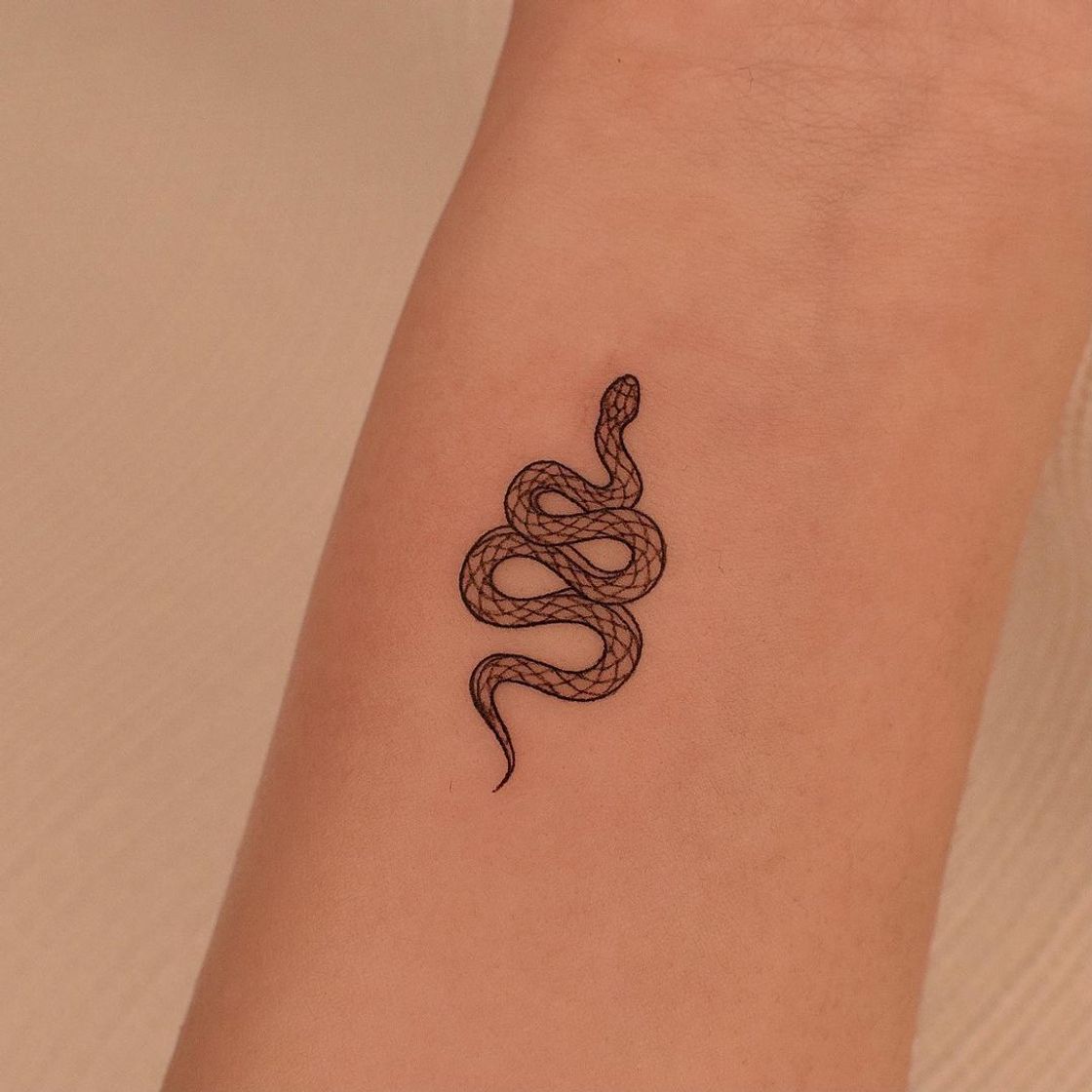 Social Tatuagem de cobra🐍