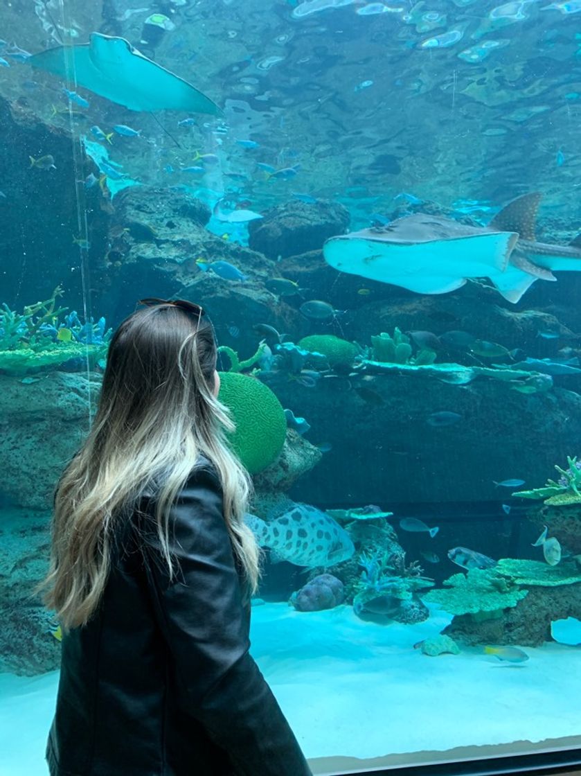 Lugar Port of Nagoya Public Aquarium