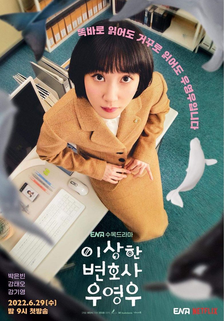 Serie Woo, Una Abogada Extraordinaria