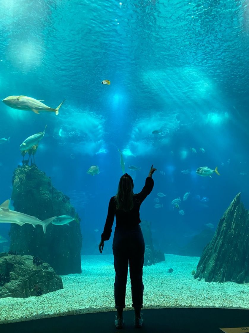 Fashion Oceanário de Lisboa 🐟