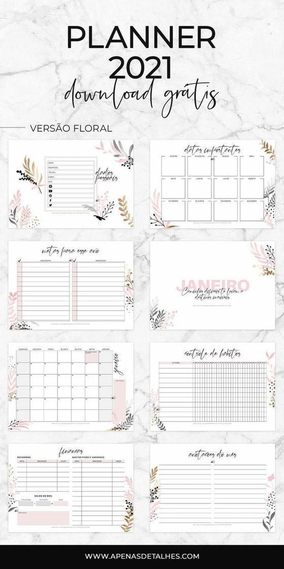 Social Planner 2021- Download Grátis 