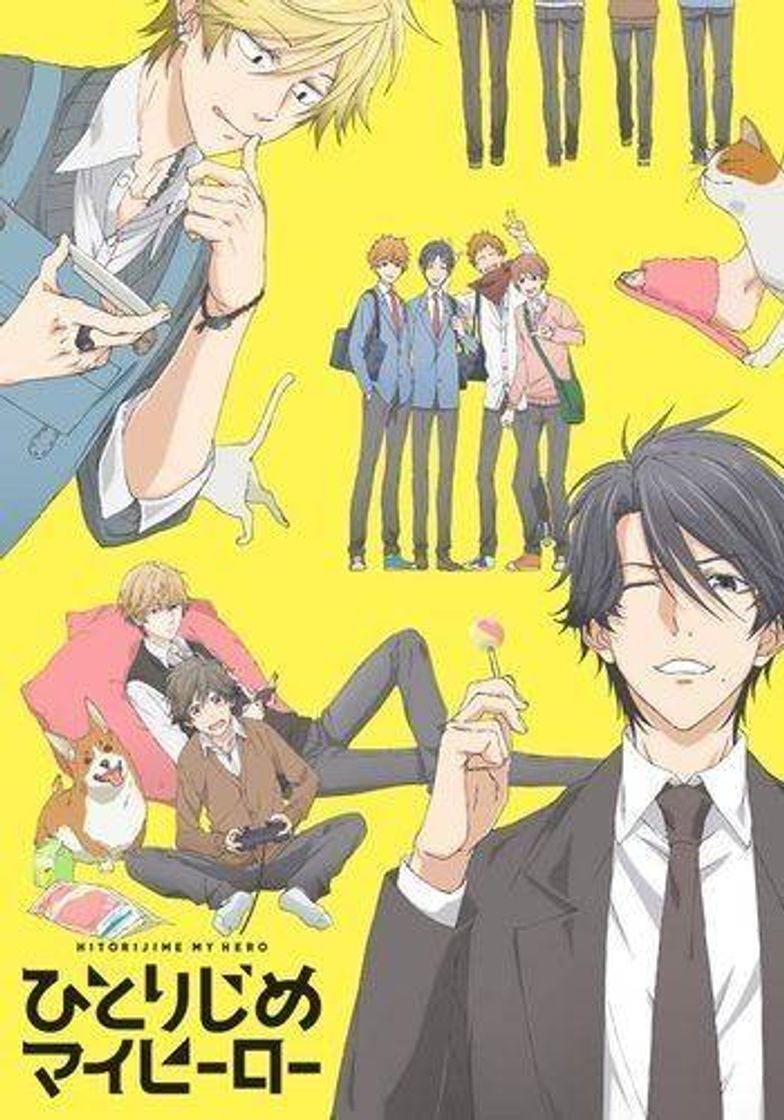 Serie Hitorijime My Hero