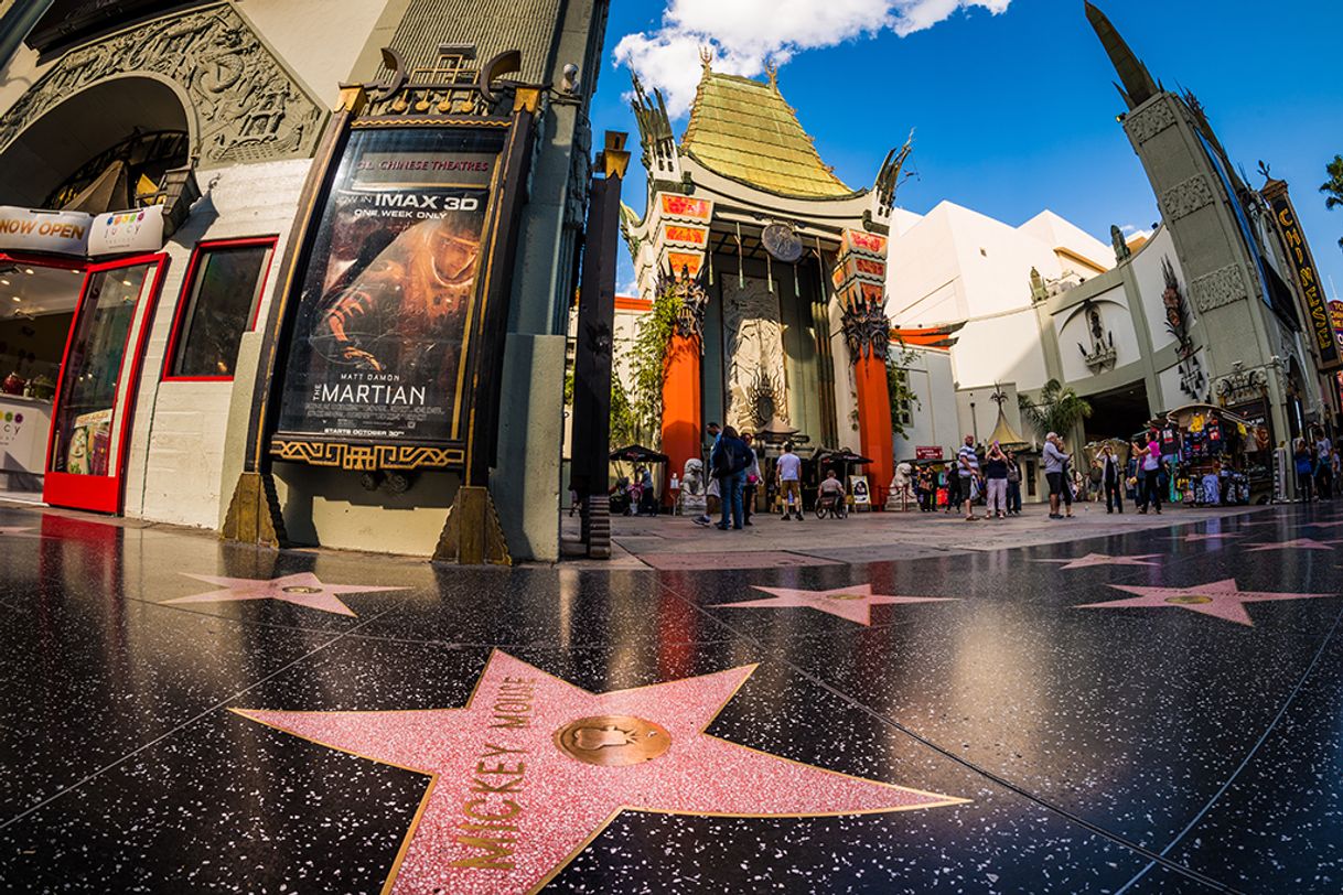 Place Hollywood