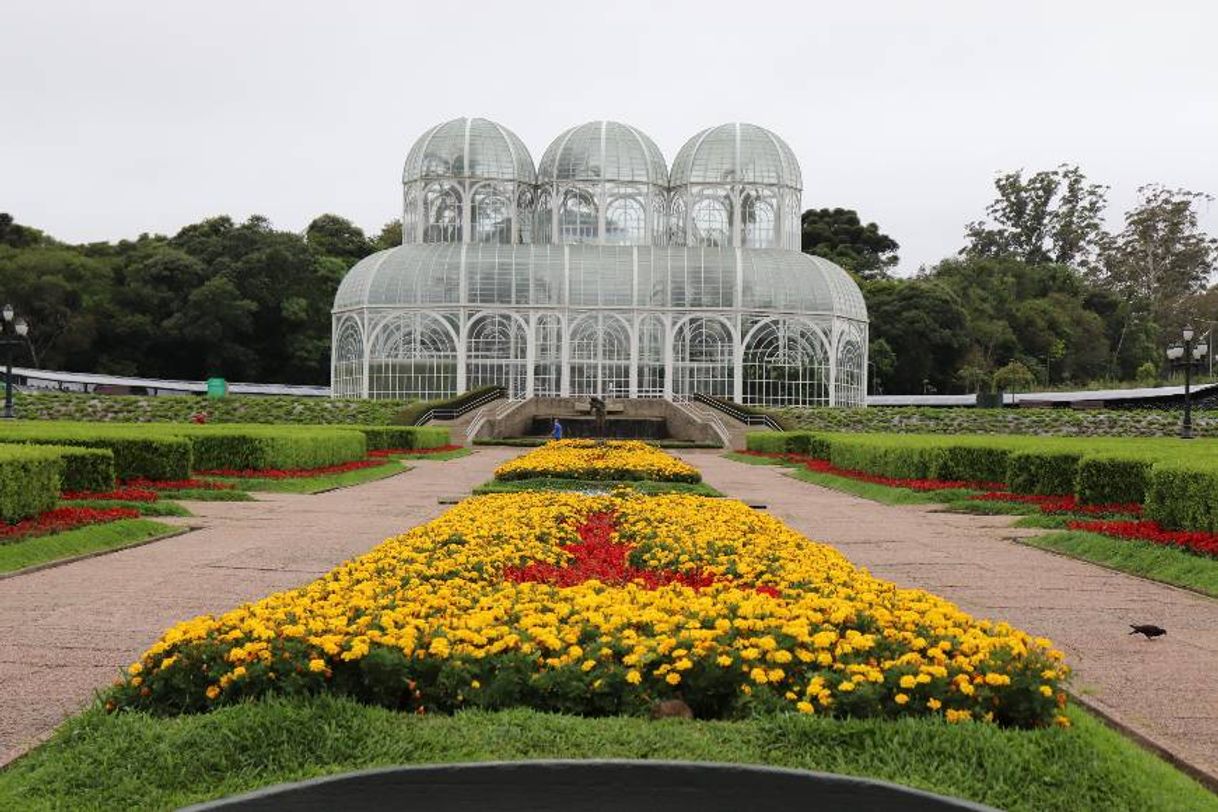Lugar Jardim Botânico