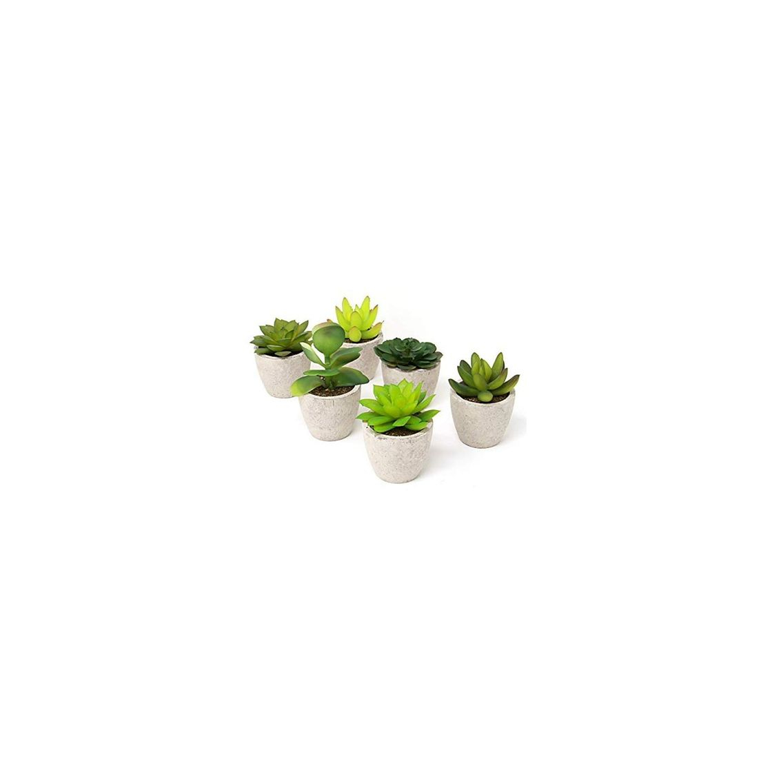 Home Maison & White Conjunto de 6 plantas artificiales suculentas