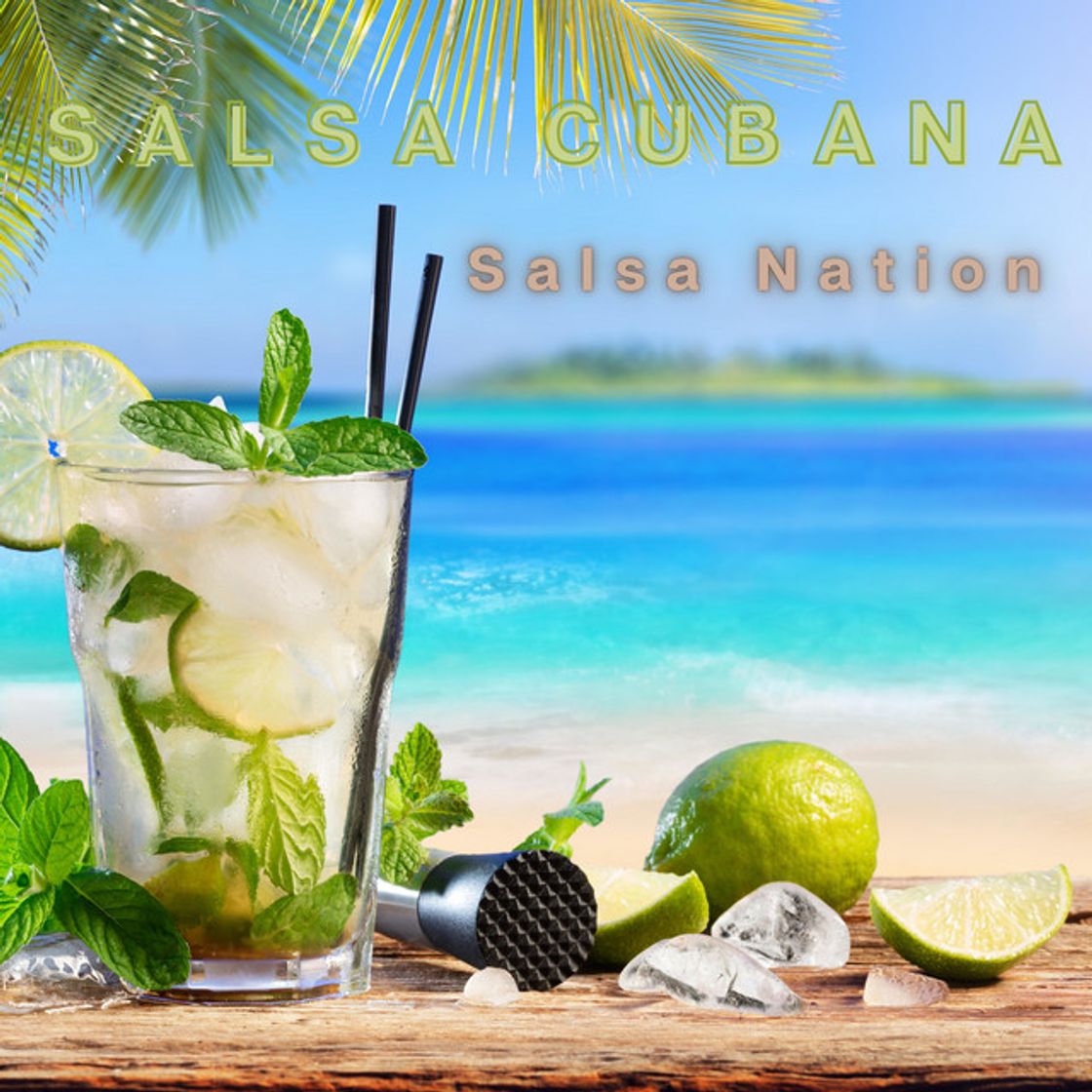 Music Salsa Nation