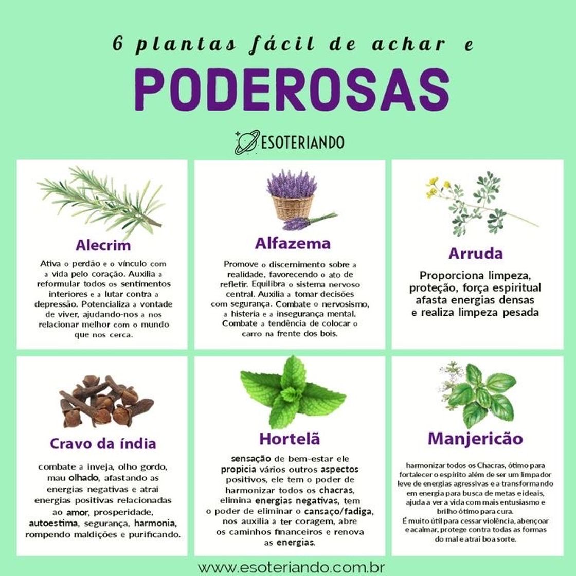 Moda Ervas 🌿 boas e fáceis de achar